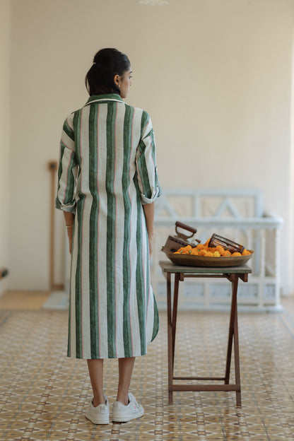 Diggi Shirt Dress