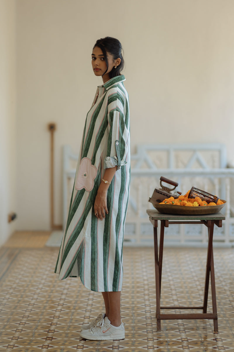 Diggi Shirt Dress